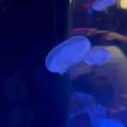 ヒメ日記 2025/12/15 23:00 投稿 Lay(新人) 排泄マニア