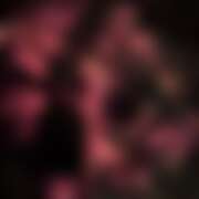 ヒメ日記 2026/01/18 23:58 投稿 Lay(新人) 排泄マニア