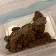 Lay(新人) ｳﾝﾁかちかちﾁｸﾋﾞなめなめ 排泄マニア