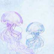 ヒメ日記 2026/01/22 23:15 投稿 Lay(新人) 排泄マニア