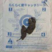 ヒメ日記 2026/02/05 23:58 投稿 Lay(新人) 排泄マニア