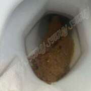 ヒメ日記 2026/02/08 23:21 投稿 Lay(新人) 排泄マニア