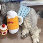 ヒメ日記 2026/02/15 23:56 投稿 Lay(新人) 排泄マニア