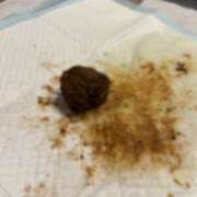 ヒメ日記 2026/02/17 23:58 投稿 Lay(新人) 排泄マニア