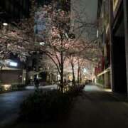 Lay(新人) 春の訪れはうんちから……🌷🌸💩 排泄マニア