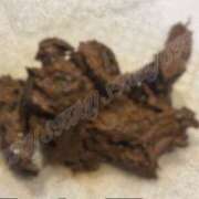 ヒメ日記 2026/03/09 23:43 投稿 Lay(新人) 排泄マニア