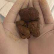 ヒメ日記 2026/03/27 23:09 投稿 Lay(新人) 排泄マニア