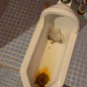 ヒメ日記 2026/04/08 23:37 投稿 Lay(新人) 排泄マニア