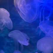 ヒメ日記 2026/04/22 23:19 投稿 Lay(新人) 排泄マニア