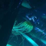 ヒメ日記 2026/06/14 02:01 投稿 Lay(新人) 排泄マニア
