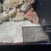 ヒメ日記 2026/07/18 23:14 投稿 Lay(新人) 排泄マニア