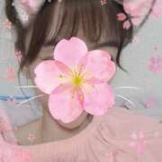 ヒメ日記 2025/04/04 22:19 投稿 リリーナ ジューシー