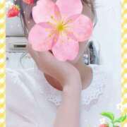 ヒメ日記 2025/04/05 09:47 投稿 リリーナ ジューシー