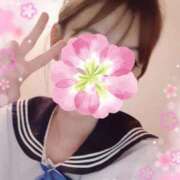 ヒメ日記 2025/04/09 21:17 投稿 リリーナ ジューシー