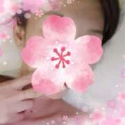 ヒメ日記 2025/04/11 10:33 投稿 リリーナ ジューシー