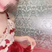 ヒメ日記 2025/11/09 14:43 投稿 なお 男爵