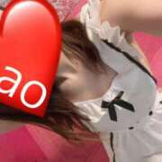 ヒメ日記 2026/03/18 12:24 投稿 なお 男爵