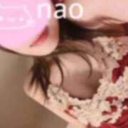 ヒメ日記 2026/04/15 12:29 投稿 なお 男爵