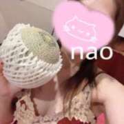 ヒメ日記 2026/06/20 12:24 投稿 なお 男爵