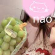 ヒメ日記 2026/09/11 12:57 投稿 なお 男爵