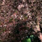 ヒメ日記 2026/04/07 12:07 投稿 あずさ♡可愛い系超敏感娘♡ 富山インターちゃんこ