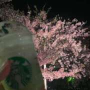 ヒメ日記 2026/04/20 20:14 投稿 あずさ♡可愛い系超敏感娘♡ 富山インターちゃんこ