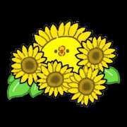 ヒメ日記 2025/05/21 10:01 投稿 えりな ふぞろいの人妻たち