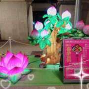 ヒメ日記 2026/01/21 19:20 投稿 えりな ふぞろいの人妻たち