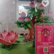 ヒメ日記 2026/03/04 19:00 投稿 えりな ふぞろいの人妻たち