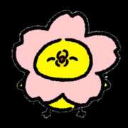 えりな 4月の予定 ふぞろいの人妻たち