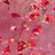 ヒメ日記 2026/03/12 11:46 投稿 るう ニュー不夜城