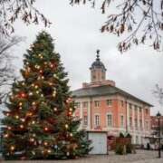 ヒメ日記 2024/12/21 10:05 投稿 アリサ Club 妻