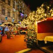 ヒメ日記 2024/12/23 08:44 投稿 アリサ Club 妻