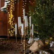 ヒメ日記 2024/12/30 08:47 投稿 アリサ Club 妻