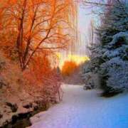 ヒメ日記 2025/01/08 08:45 投稿 アリサ Club 妻