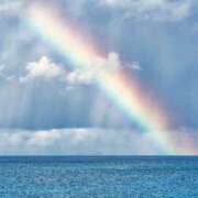 ヒメ日記 2025/01/29 08:55 投稿 アリサ Club 妻