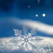 ヒメ日記 2025/02/08 10:04 投稿 アリサ Club 妻