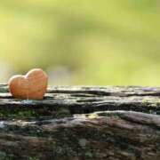 ヒメ日記 2025/02/12 08:41 投稿 アリサ Club 妻