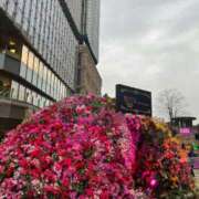 ヒメ日記 2025/03/18 08:47 投稿 アリサ Club 妻