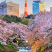 ヒメ日記 2025/03/21 08:43 投稿 アリサ Club 妻