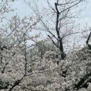 ヒメ日記 2025/03/29 10:06 投稿 アリサ Club 妻