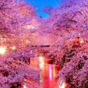 ヒメ日記 2025/04/01 09:22 投稿 アリサ Club 妻