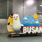 ヒメ日記 2025/04/08 09:16 投稿 アリサ Club 妻