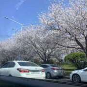 ヒメ日記 2025/04/16 08:41 投稿 アリサ Club 妻