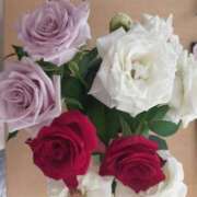 ヒメ日記 2025/06/06 08:59 投稿 アリサ Club 妻