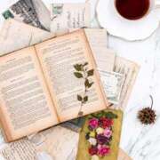 ヒメ日記 2025/06/12 08:45 投稿 アリサ Club 妻