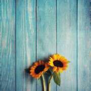 ヒメ日記 2025/08/20 08:47 投稿 アリサ Club 妻