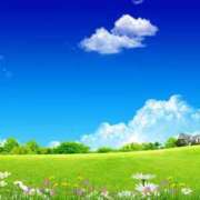 ヒメ日記 2025/08/26 08:40 投稿 アリサ Club 妻