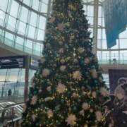 ヒメ日記 2025/11/29 08:41 投稿 アリサ Club 妻