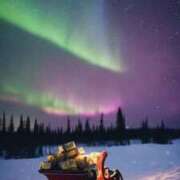 ヒメ日記 2025/12/22 08:45 投稿 アリサ Club 妻